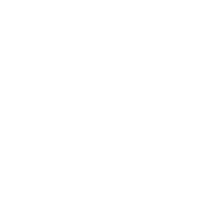 Jader Mineiro